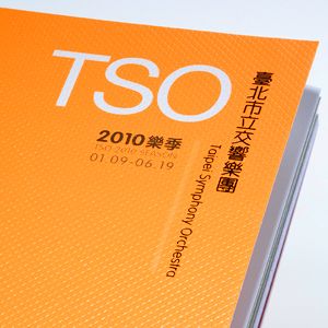 TSO brochure 2010