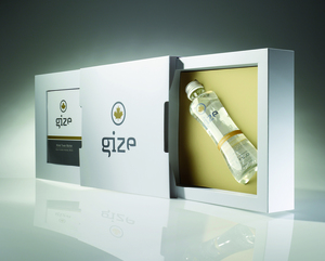 Gize Corporate