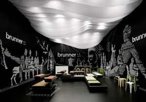 Brunner 2012