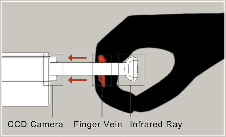 Hidden Door Handle If World Design Guide