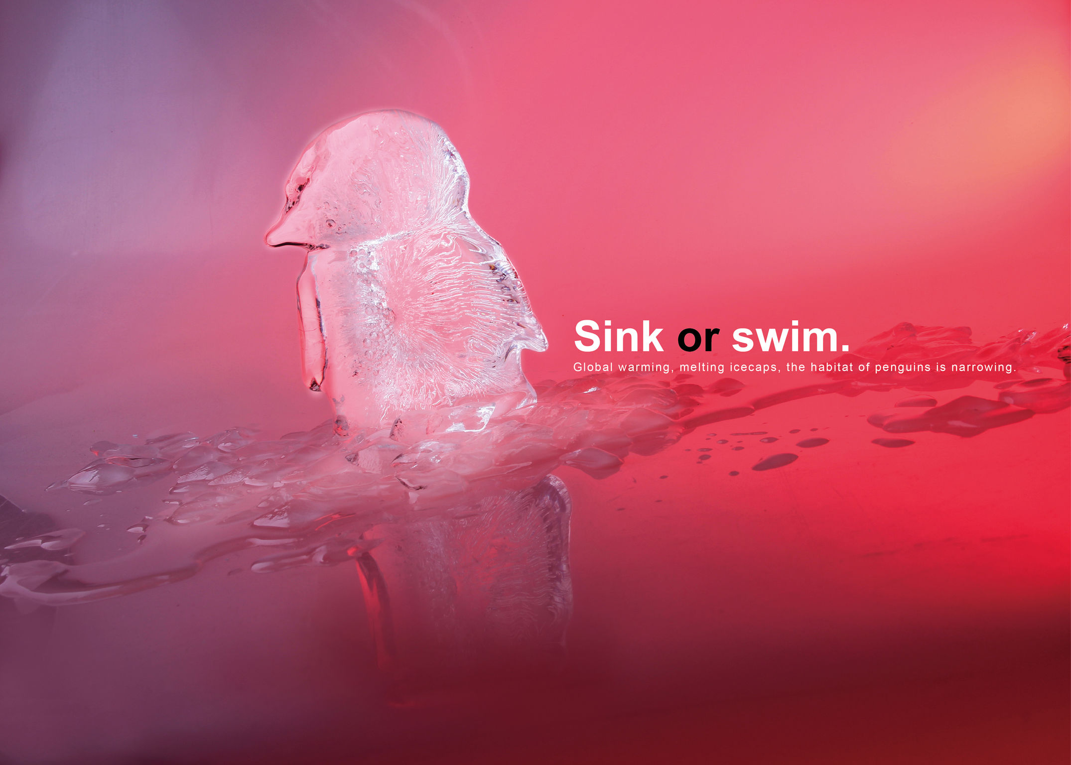 Sink Or Swim If World Design Guide