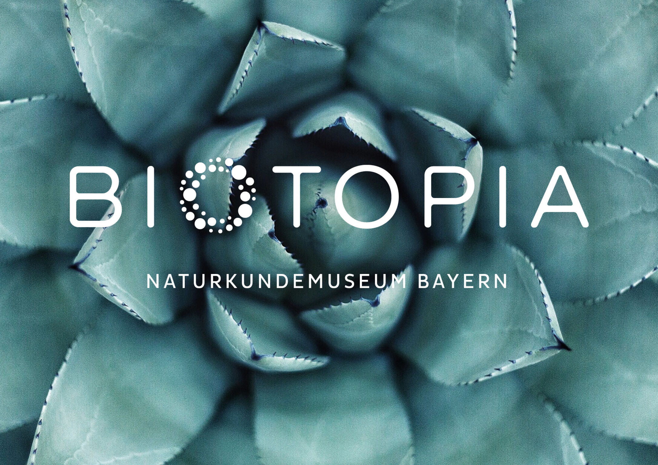 Biotopia If World Design Guide