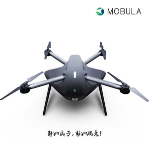 drone mobula