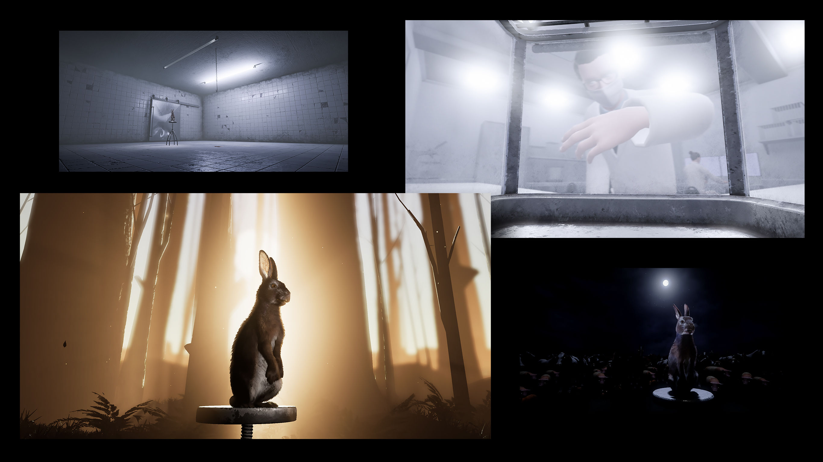 PETA “Eye to Eye” – VR Live Acting Experience