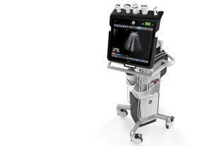 Venue - Ultrasound for the Critical Moment