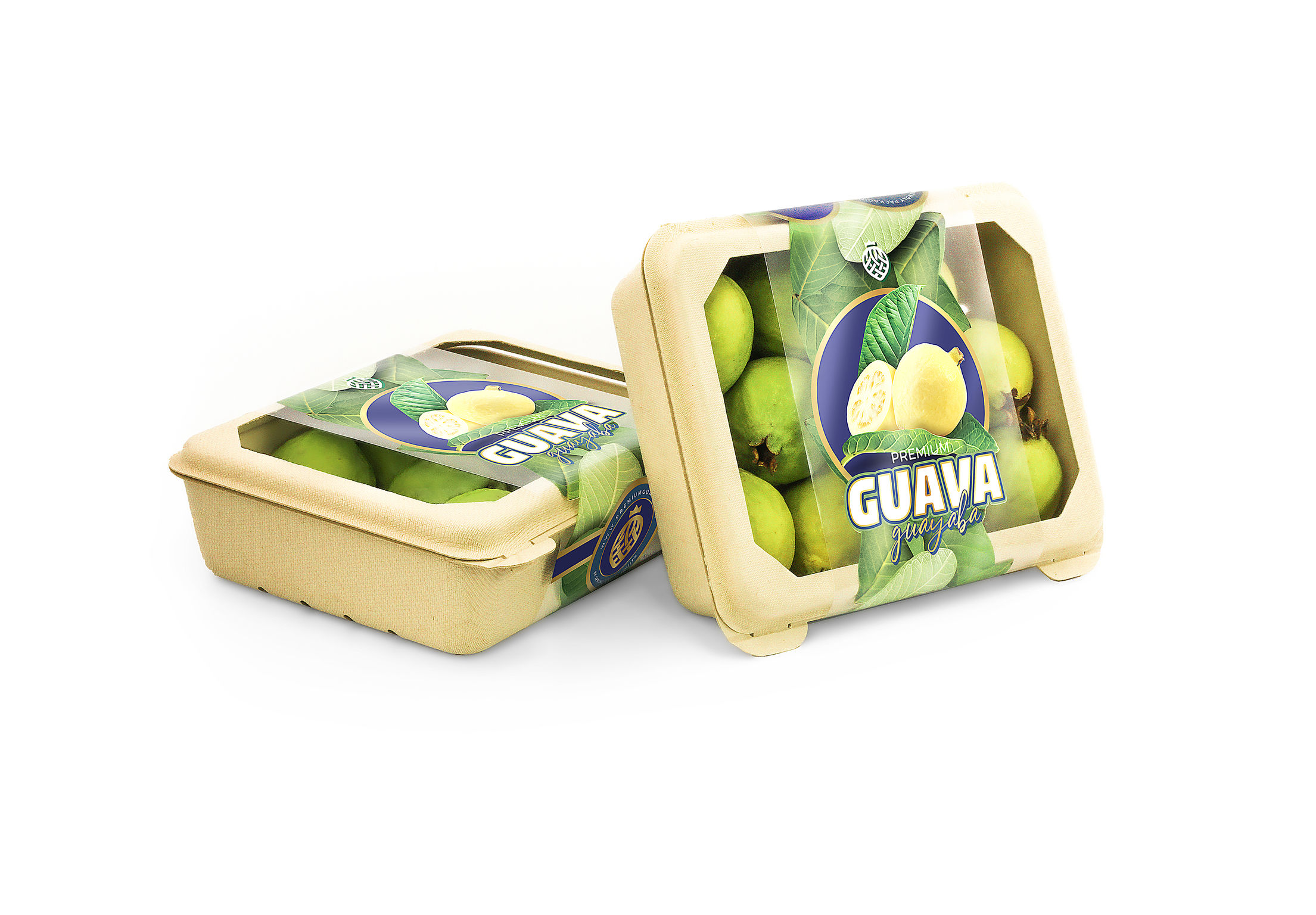 GUAVA ECO-FRIENDLY CLAMSHELL