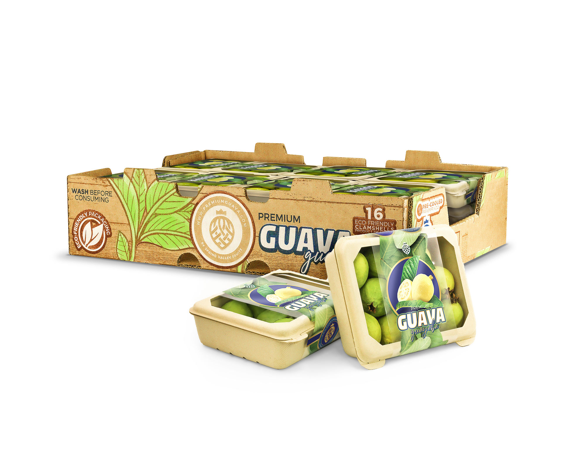 GUAVA ECO-FRIENDLY CLAMSHELL