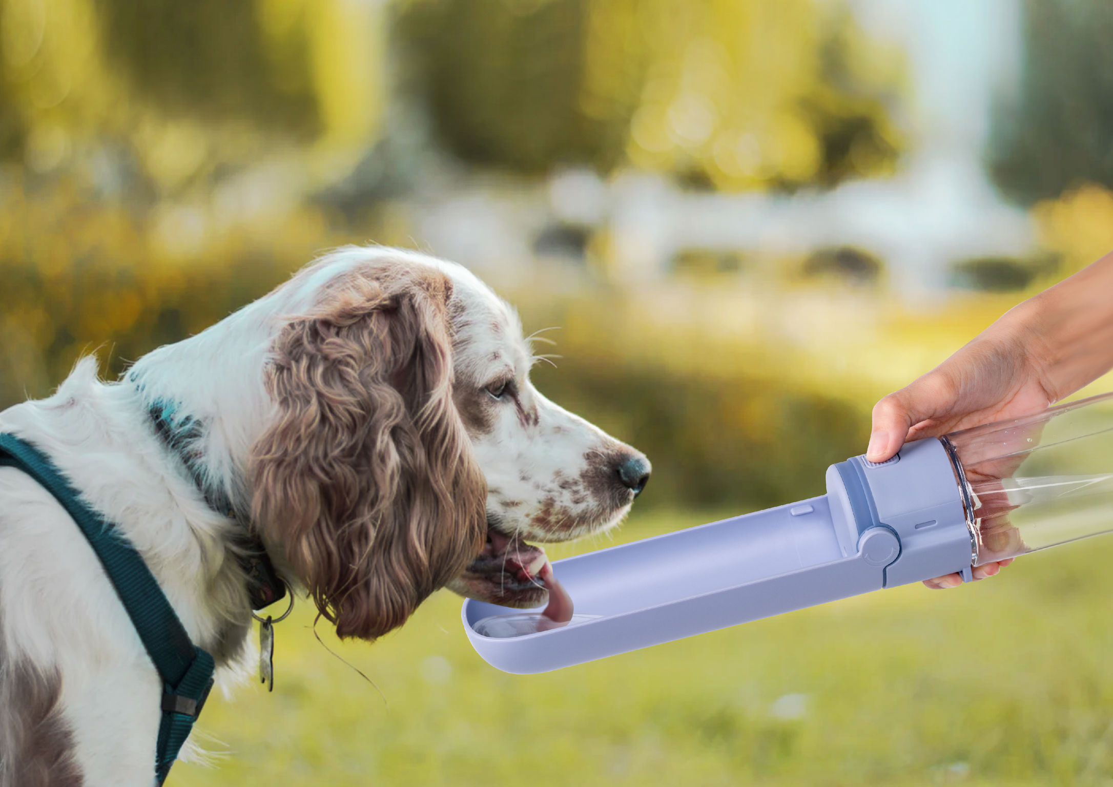 can puppies drink bottled water