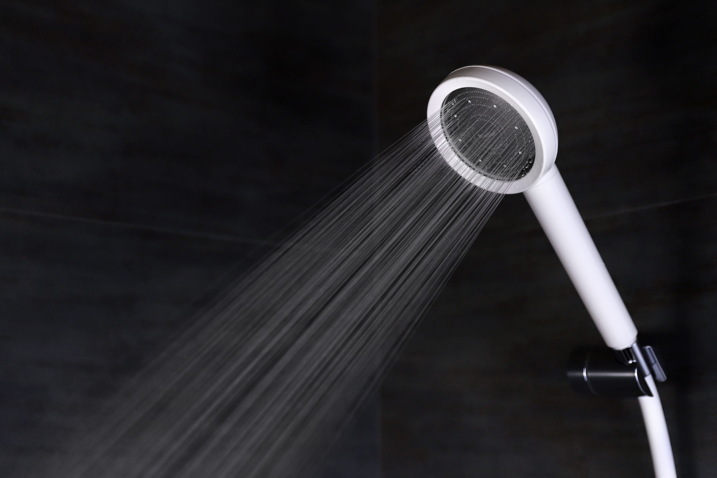 Minible I Dechlorinating Microbubble Shower Head If World Design Guide