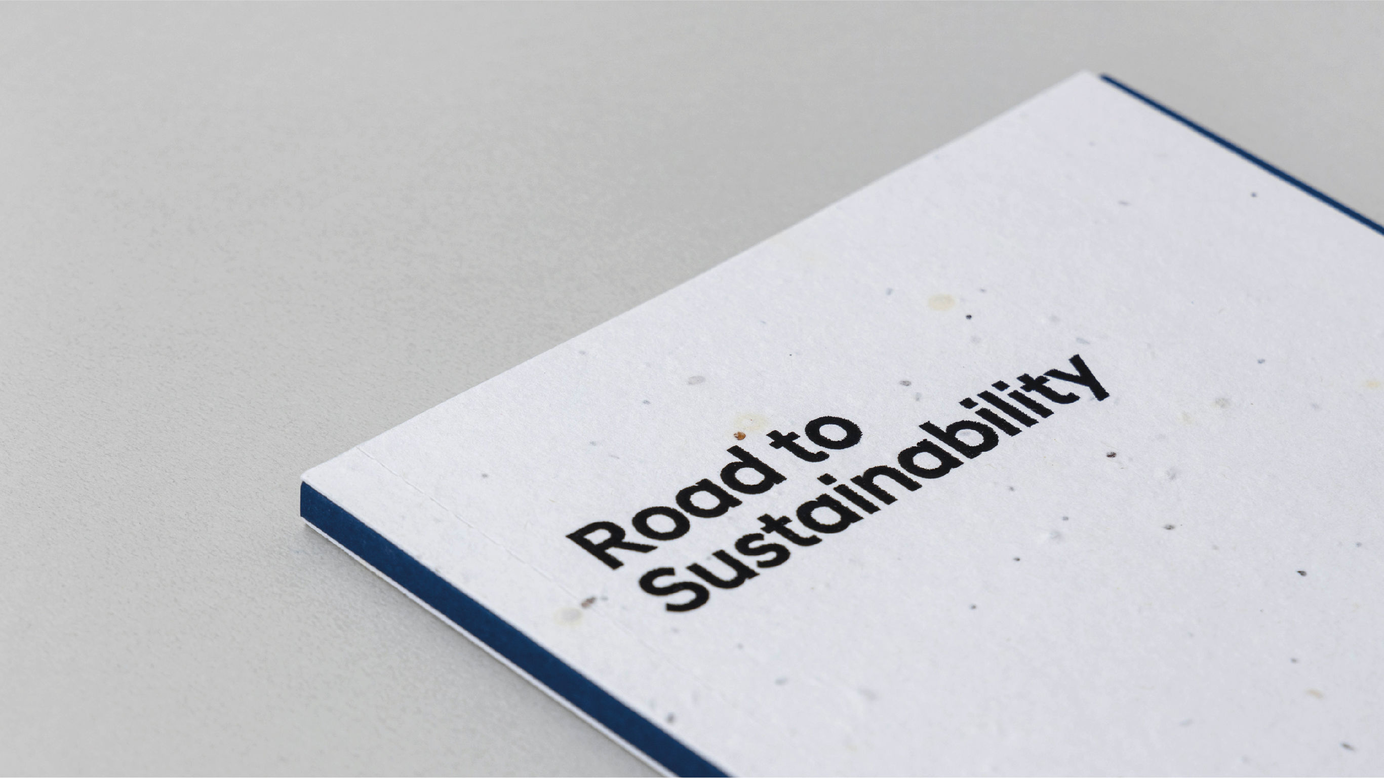 Hyundai Sustainability Report : Road to Sustainability