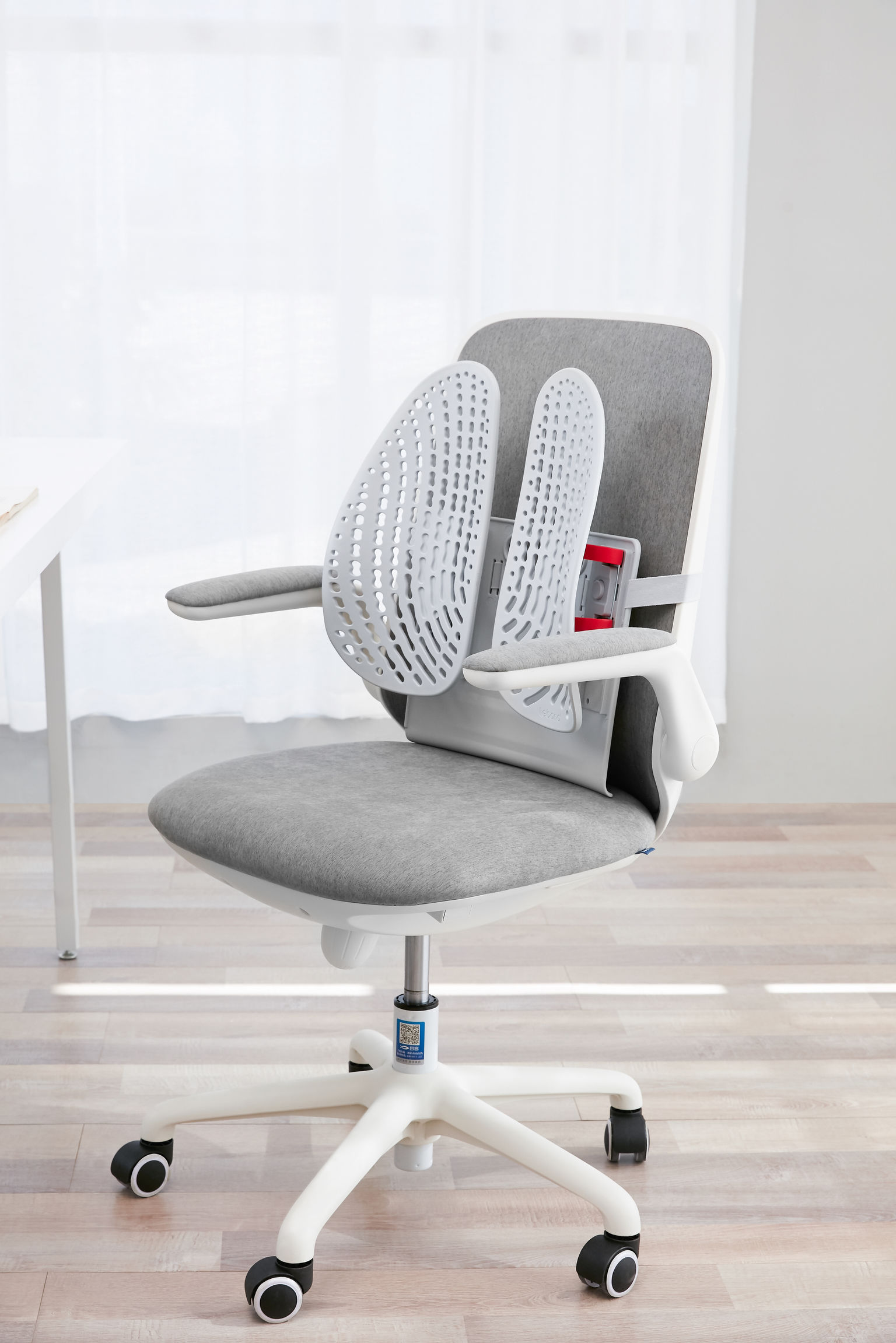 ergonomic back cushion