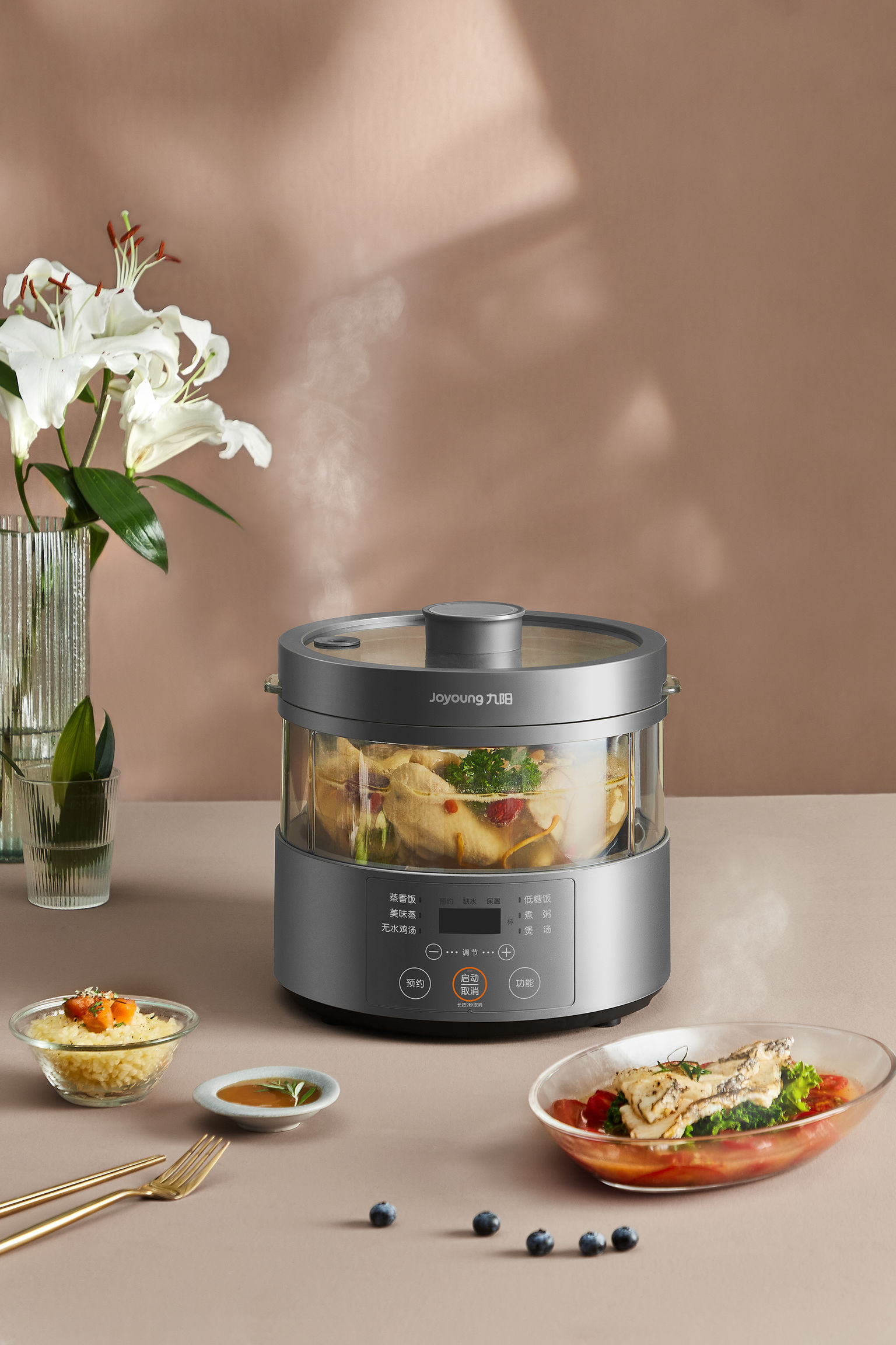 iF - S160 Steam Rice Cooker